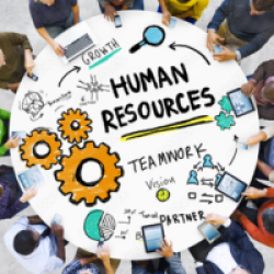 HUMAN_RESOURCES__202303311249